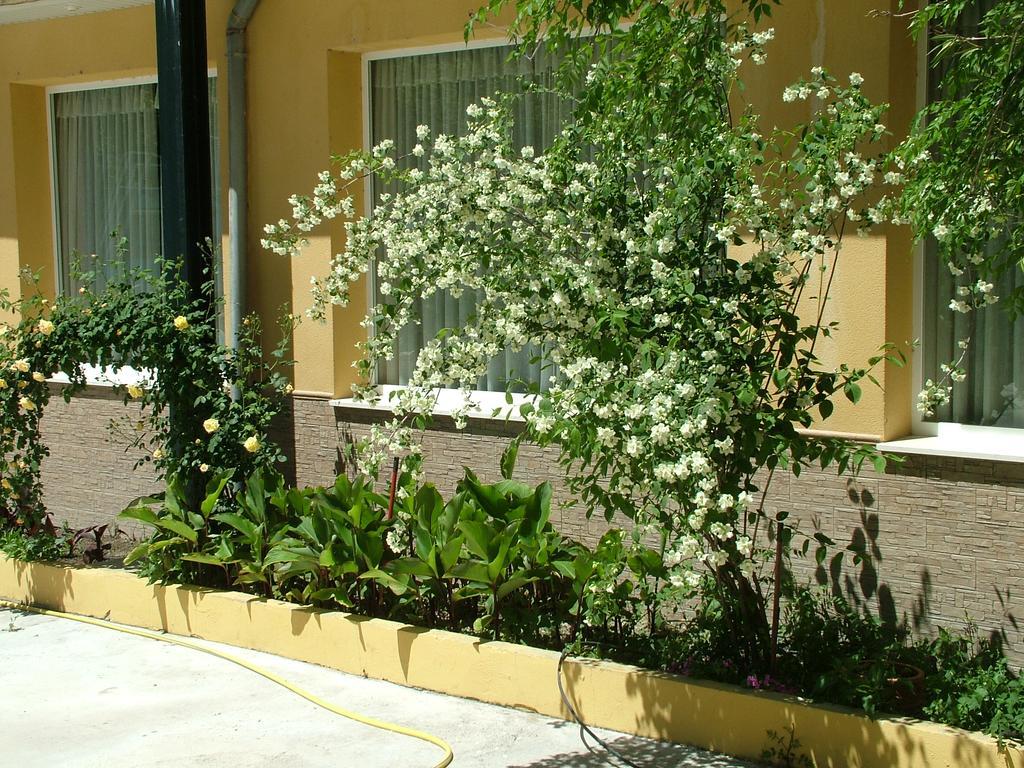 Hotel Rio Piscina Priego De Cordoba Bagian luar foto